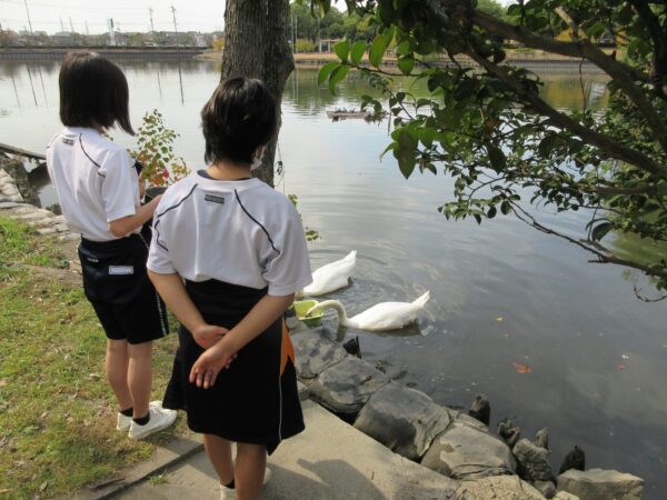 水島緑地福田公園職場体験学習